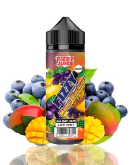 fizzy-juice-mango-blackburrt-120ml copia